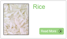  Indian Rice, Rice Exporters,  Indian Basmati Rice, White Rice